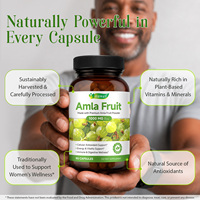 Complément alimentaire naturel à la vitamine C Itawel, complément à base d'Amla, extrait de fruit d'Amlaki, capsules d'Amla pour un soutien antioxydant cellulaire