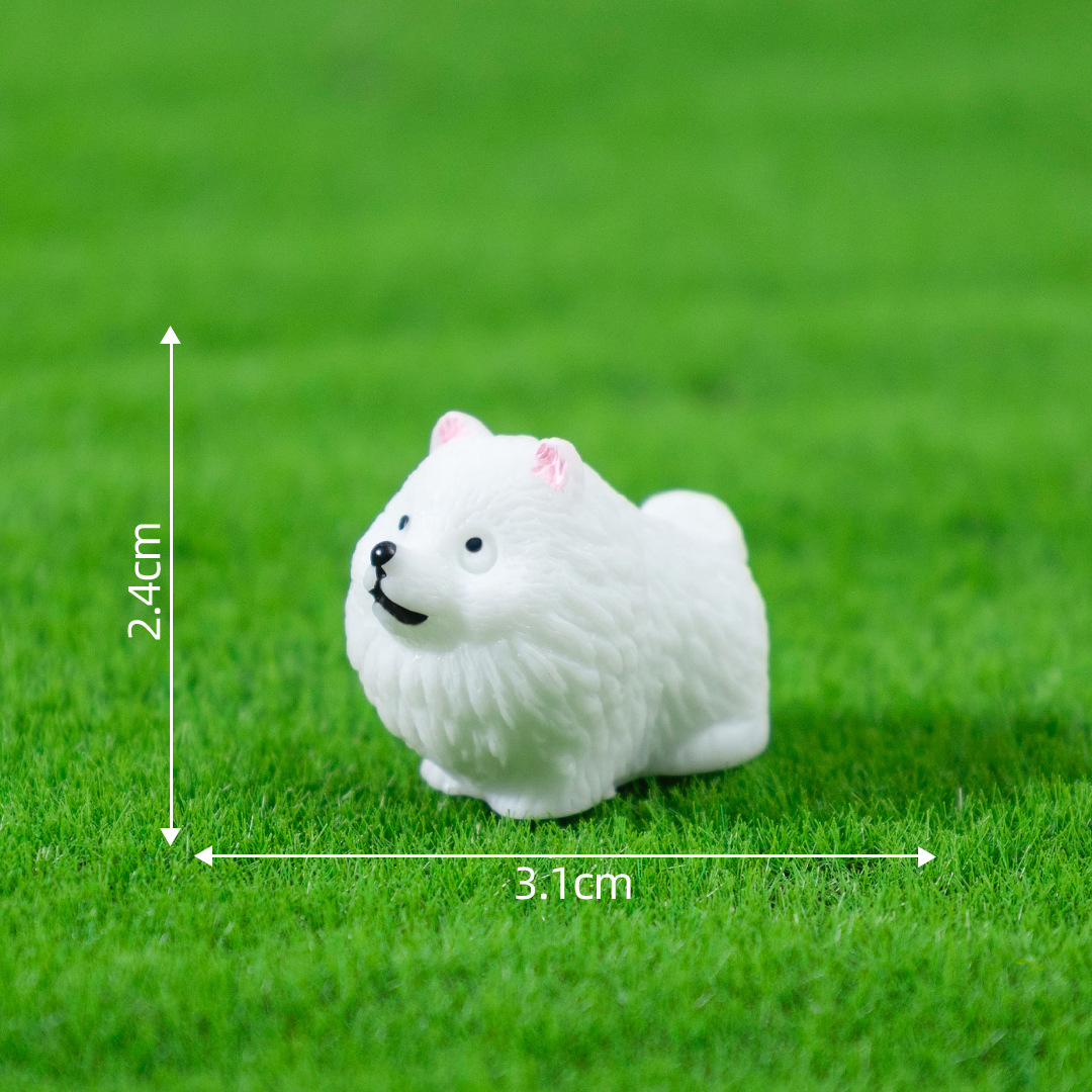 No.1 Pomerania