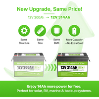 Batterie LiFePO4 12V 230Ah 200Ah 300Ah avec boîtier robuste IP65, cycle profond et BMS Bluetooth pour bateau, camping-car, véhicule électrique, bricolage - Stock UE Vert