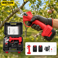 Kit de sécateurs sans fil en gros, batterie lithium 21V, coupe-branches électrique pour verger, jardin et aménagement paysager