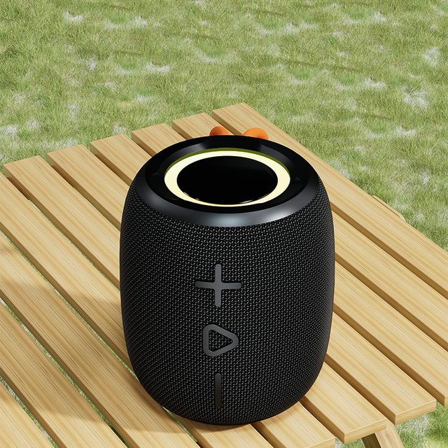 Portable Bluetooth Speaker with Colorful RGB Light Wireless 10W TWS Immersive Sound Speaker for Outdoor Home