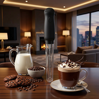 Mousseur à lait multifonctionnel portatif, batteur à œufs électrique, fouet en acier inoxydable 304, agitateur à café, mini-mélangeur pour la pâtisserie, personnalisable