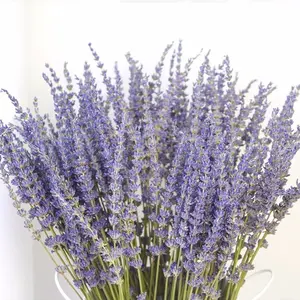 Atacado de flores secas personalizadas buquê de materiais primas, buquê de decoração de casa, cor azul seca flores de lavanda