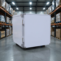 Caisse isotherme portable Esfrigo 430L ES430P haute résistance pour stockage et livraison en chaîne du froid, amovible, -20 degrés