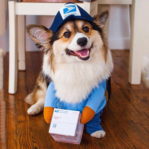 Hondenkoerier Cosplay Kleding Grappige Pet Bont Kostuum Voor Rollenspel Express Pakket En Piratenpak Voor Halloween - Product Image 1