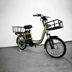 電気道路bicicleta電気貨物、電気三輪車1000Wレジャーカー、大人の三輪車貨物電気サイクル