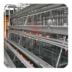 5000-100000 gà lồng đầy đủ tự động gia cầm thiết bị nông nghiệp để bán với miễn phí chuyên nghiệp thiết kế gà nhà
