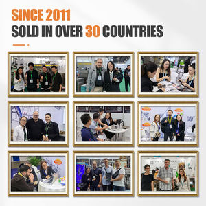 Macchina automatica per confezionare frutta liofilizzata pesca limone ananas fragola Banana e cocco patatine per frutta a fette - Product Image 3