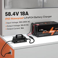 Chargeur de batterie au lithium professionnel LiTime à trois étapes de charge, étanche IP65, 58,4 V 18 A, câble d'entrée, indicateurs LED, portable