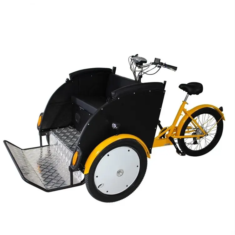 OEM CE Approved Adult Electric Cargo Bike Family use 3 Wheel Bicycle Mobile Tricycle for Carrying Kids