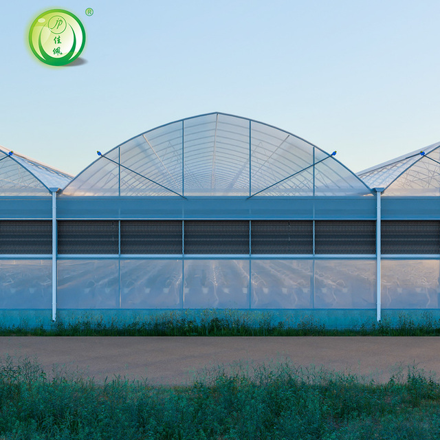 Multi-Span Greenhouse with Full Equipment Cooling System Seed Bed Hydroponic Irrigation for Agricultural Use