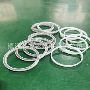 MAT'L: PTFE + aşındırma politetrafluoroethethsel mühürlü bahar enerji depolama halkası - Product Image 4