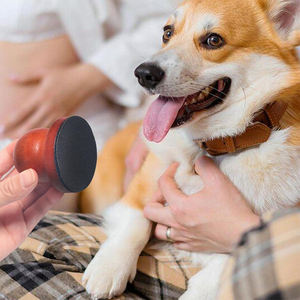 Novo Stress Substituível Livre <span class=keywords><strong>Nail</strong></span> File para Cães <span class=keywords><strong>Pet</strong></span> <span class=keywords><strong>Nail</strong></span> Paw Grinder Trimmer Lixa De Madeira <span class=keywords><strong>Dog</strong></span> <span class=keywords><strong>Nail</strong></span> File Scratch Pad - Product Image 1