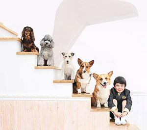 Cintres modernes en bois de petite taille Lavinia pour chats, chiens et lapins, avec crochets et rails en acier inoxydable, spécialement conçus pour les poupées et animaux de compagnie. - Product Image 2