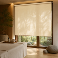 Stores enrouleurs semi-occultants en tissu texturé élégant avec tirage manuel par chaîne, installation facile pour bureaux et hôtels
