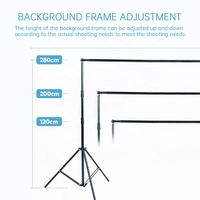 Support de fond de scène photographique professionnel portable et pliable 2x2m, équipement photographique de studio, lumière stroboscopique pour diffusion en direct