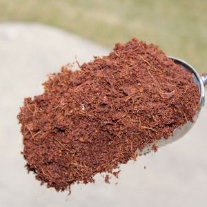 Tourbe de coco hydroponique compressée et tamponnée, à teneur élevée en EC, 650g, 5Kg, pour gouttières - Product Image 3