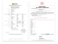 Qinshantang organique 15:1 de haute qualité 10:1 Cordyceps Militaris 20:1 poudre d'extrait de champignon
