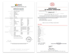 Qinshantang אורגני 15:1 באיכות גבוהה 10:1 <span class=keywords><strong>cordyceps</strong></span> מיליאריס 20:1 תמצית פטריות אבקת - Product Image 5