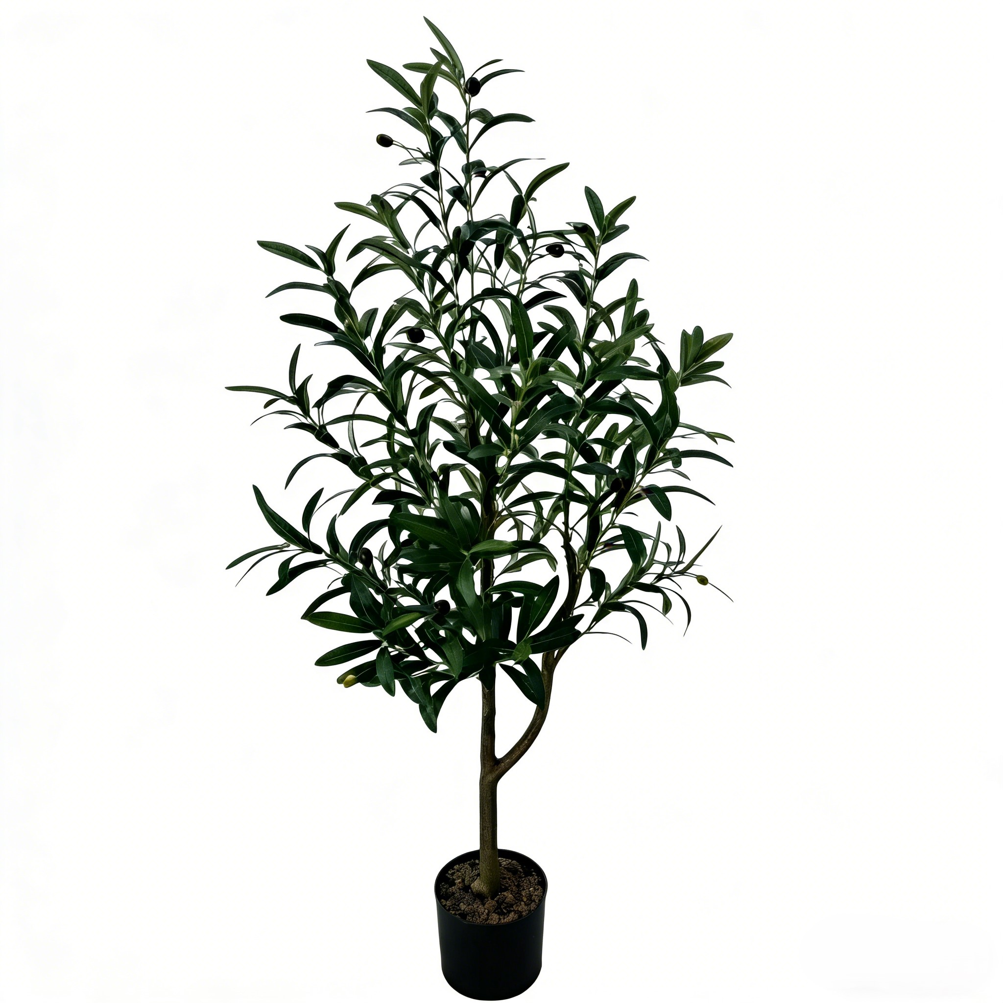 สีเขียว