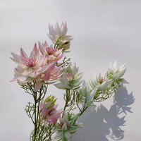 Fleurs artificielles sud-africaines Blush Bridal, bouquet de lotus des neiges, accessoires de photographie de mariage, décoration d'intérieur, arrangement fait main