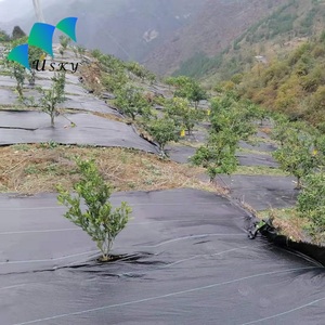 Esterilla de hierba agrícola uv, cubierta de suelo de pp, <span class=keywords><strong>malla</strong></span>, precio competitivo - Product Image 2