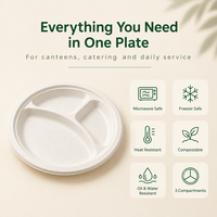 Plateau léger et polyvalent en bagasse de canne à sucre à 3 compartiments pour service de buffet