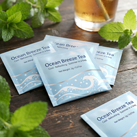 Mini-sachets de thé personnalisés imprimés, écologiques, portables, de qualité alimentaire, laminés, petits sachets en papier, marque de premier plan PT
