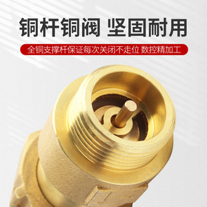 วาล์วกันกลับ Huihong DN15 ทองเหลืองทั้งหมด วาล์วน้ำแบบทางเดียว สำหรับงานประปาในครัวเรือน ป้องกันน้ำไหลย้อนกลับ ดีไซน์แบบตรงผ่าน - Product Image 4