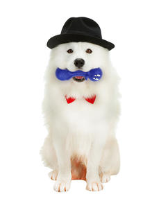 Juguetes masticables de goma ecológicos de calidad 100% para perros y gatos, bonito patrón de dibujos animados interactivo que evita el cálculo Dental, bolsa pequeña - Product Image 5