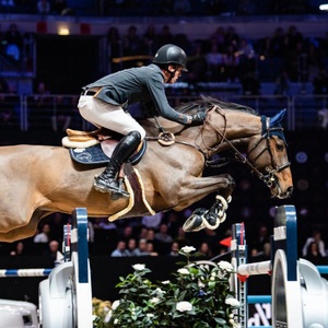 Nouveaux obstacles d'équitation élégants en aluminium, durables, de style western, équipement de saut en PVC imperméable - Product Image 6