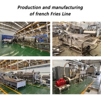 Ligne de transformation de frites personnalisée hautement rentable avec technologie de coupe fraîche, garantie de satisfaction pour usage commercial