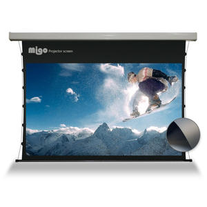 180-350 인치 호화스러운 상업적인 영사기를 위한 큰 자동화된 지적인 전기 투상 스크린 - Product Image 6