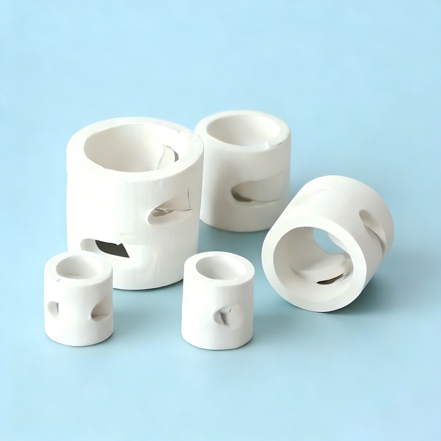 Pingxiang Dai-Er Alumina Ceramic Pall Ring 25/38/50mm Random Tower Packing Industrial Distillation Absorption Columns High Mass