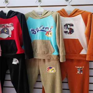 Conjunto de Ropa Infantil para Otoño e Invierno, Conjunto Deportivo Veet Económico de Dos Piezas para Niños y Niñas - Product Image 4
