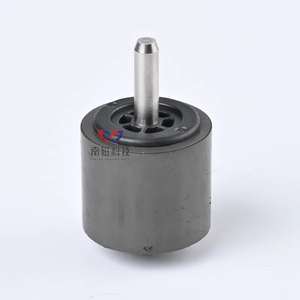 Ferrite prête à l'emploi SmFeN Rotor magnétique inséré à forte puissance aimant de terre rare pompe à eau permanente Condition nouveau - Product Image 3