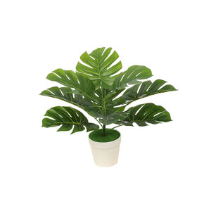 Plantas Artificiales Realistas de Hoja Grande en Maceta para Decoración de Exteriores, Venta al Por Mayor - Product Image 5