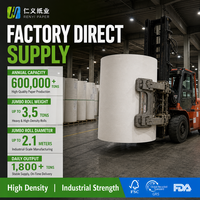 Papiers et cartons d'emballage en bagasse de haute qualité, recyclables, certifiés FSC, en rouleaux variés, prix de gros usine OEM, à prix compétitif