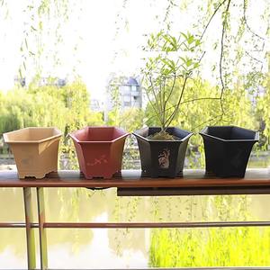 Pots de bonsaï hexagonaux classiques en <span class=keywords><strong>plastique</strong></span> de 15.8cm pour la <span class=keywords><strong>culture</strong></span> de petits arbres - Product Image 5