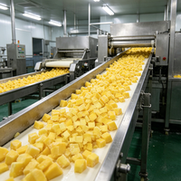 Fabrieksmatig geproduceerd 100% natuurlijk vers Desi mango puree. Nieuwe aanvoer mango vruchtvlees. Aseptische verpakking. Op maat gemaakte verpakking. Diepvries mango opslag.