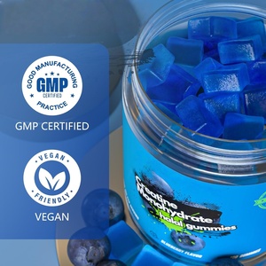 OEM/ODM Marque privée Bonbons gélifiés à la créatine monohydrate pour adultes Pré-entraînement Gestion de l'énergie Complément alimentaire Sans sucre 60 gélifiés 2 - Product Image 4