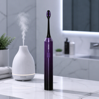 Brosse à dents électrique avec logo personnalisé, rechargeable, étanche IPX7, pour la vente en gros
