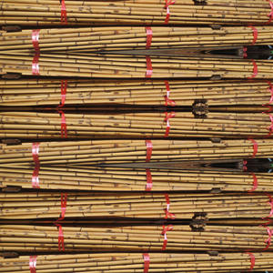 สิงคโปร์เสนอวัสดุไม้ไผ่ราก3ม. และ4ม. สำหรับเรือนเรือนไม้และโรงเรือนเกษตร - Product Image 5