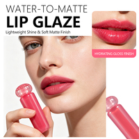 Vente en gros de gloss à lèvres mat en 6 couleurs, fini velours doux, imperméable, haute pigmentation, longue tenue, non collant
