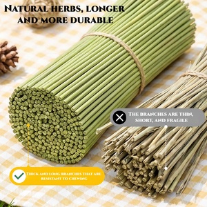 Bastoncini Naturali da Masticare per Pappagalli, Giocattolo in Erba della Barba del Drago per la Pulizia dei Denti, Antistress, Intrattenimento in Gabbia per Pappagallini, Agaporni, Cacatua - Product Image 4