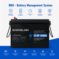 Batterie LiFePO4 12V 300Ah, pack de batteries 12.8V 3840Wh, 6000 cycles, batterie lithium à décharge profonde pour applications marines, camping-cars, moteurs de pêche à la traîne, et alimentation de secours solaire