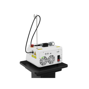 Terapi Laser kelas 4, kekuatan tinggi fisioterapi pereda nyeri penyembuhan lembut hewan Lazer - Product Image 6