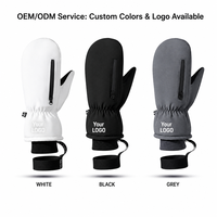 Gants d'hiver imperméables pour hommes, mitaines de ski isolées thermiquement et coupe-vent pour les températures extrêmes