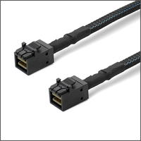 Kabel Oculink 8611 4X ke 8643 4X Sff-8643 ke Sff-8611 MiniSAS 36Pin Kabel Ekstensi Transmisi Data Kecepatan Tinggi 0.5m untuk Server