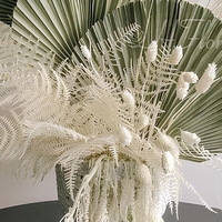 HFlora Factory Vente en gros 40x24cm Fleurs séchées naturelles originales Feuilles de palmier réelles pour la décoration de la maison, la Saint-Valentin et les remises de diplômes